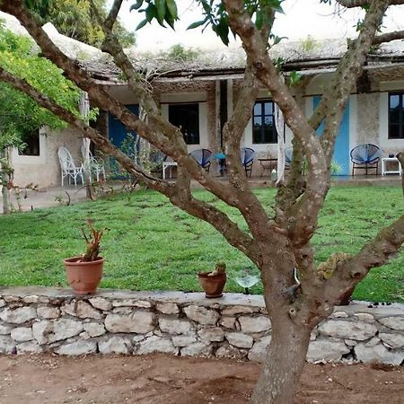 La Maison Essaouira Ngoại thất bức ảnh